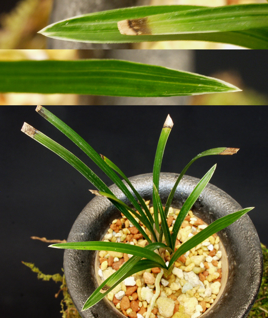 ������ ū������ �� �� �ֽ��ϴ�.