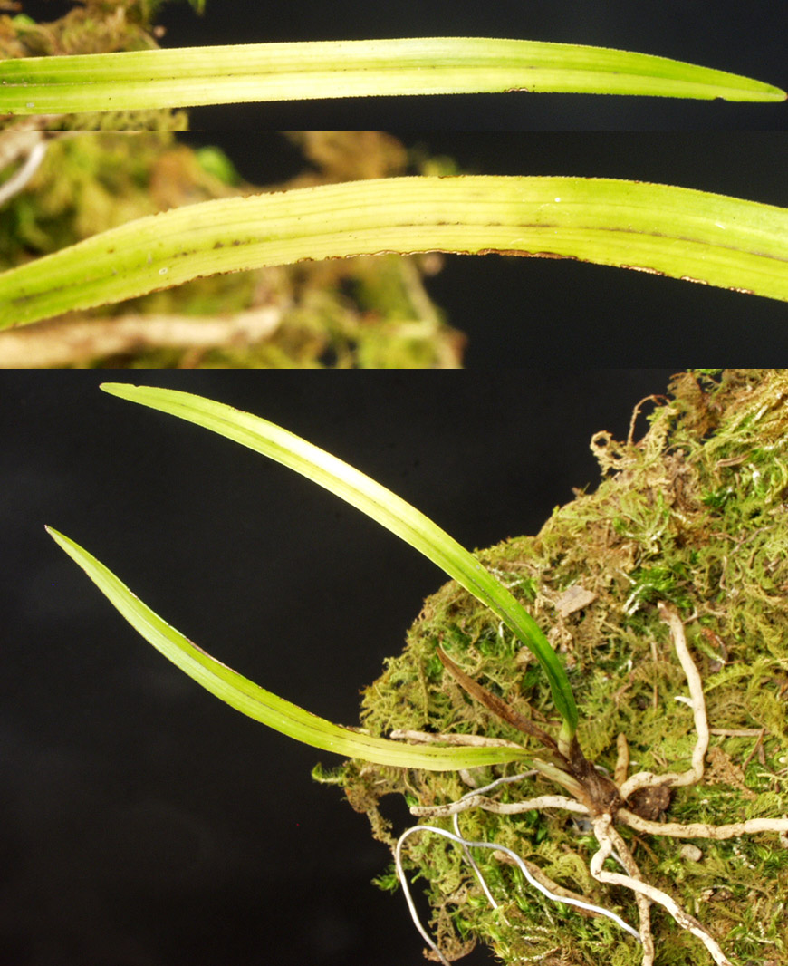 ������ ū������ �� �� �ֽ��ϴ�.