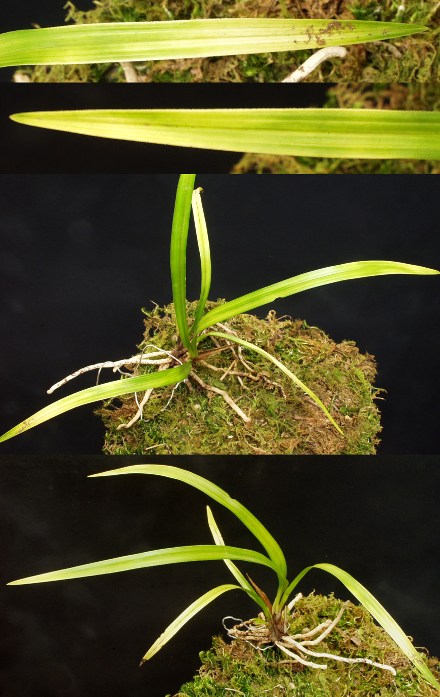 ������ ū������ �� �� �ֽ��ϴ�.