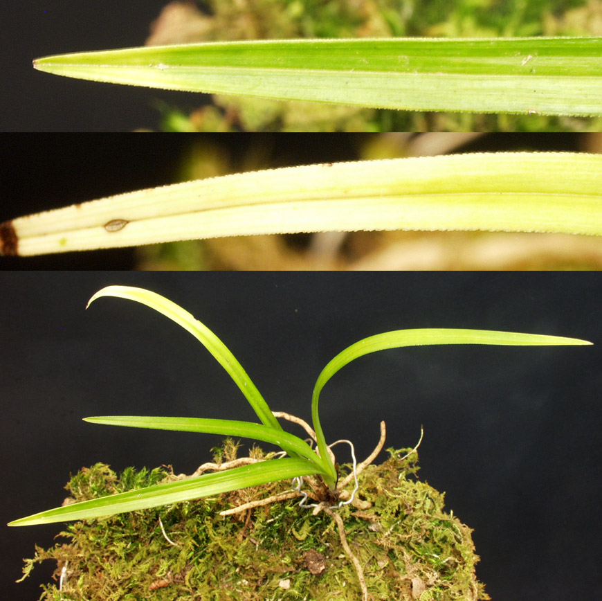 ������ ū������ �� �� �ֽ��ϴ�.