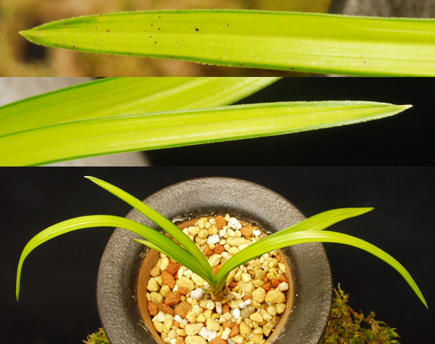 ������ ū������ �� �� �ֽ��ϴ�.