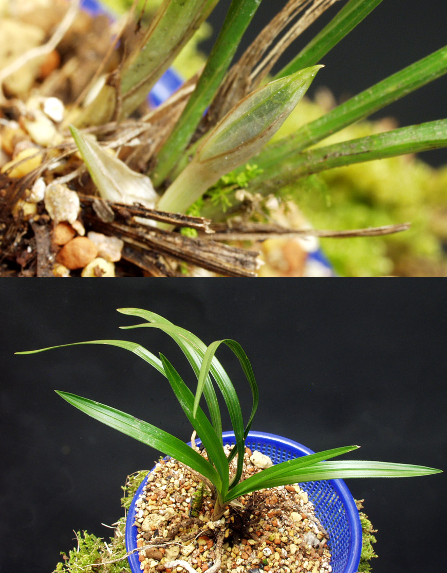 ������ ū������ �� �� �ֽ��ϴ�.