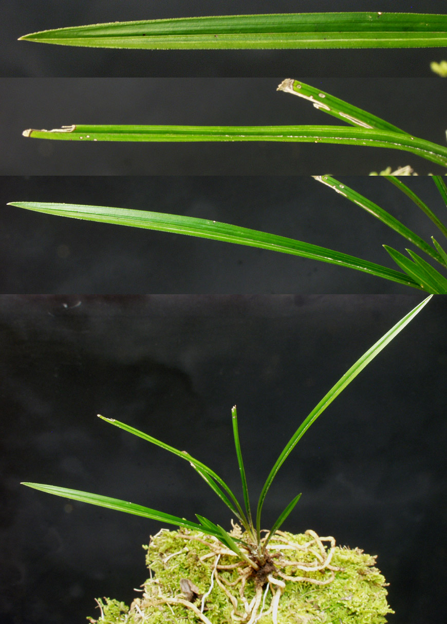 ������ ū������ �� �� �ֽ��ϴ�.