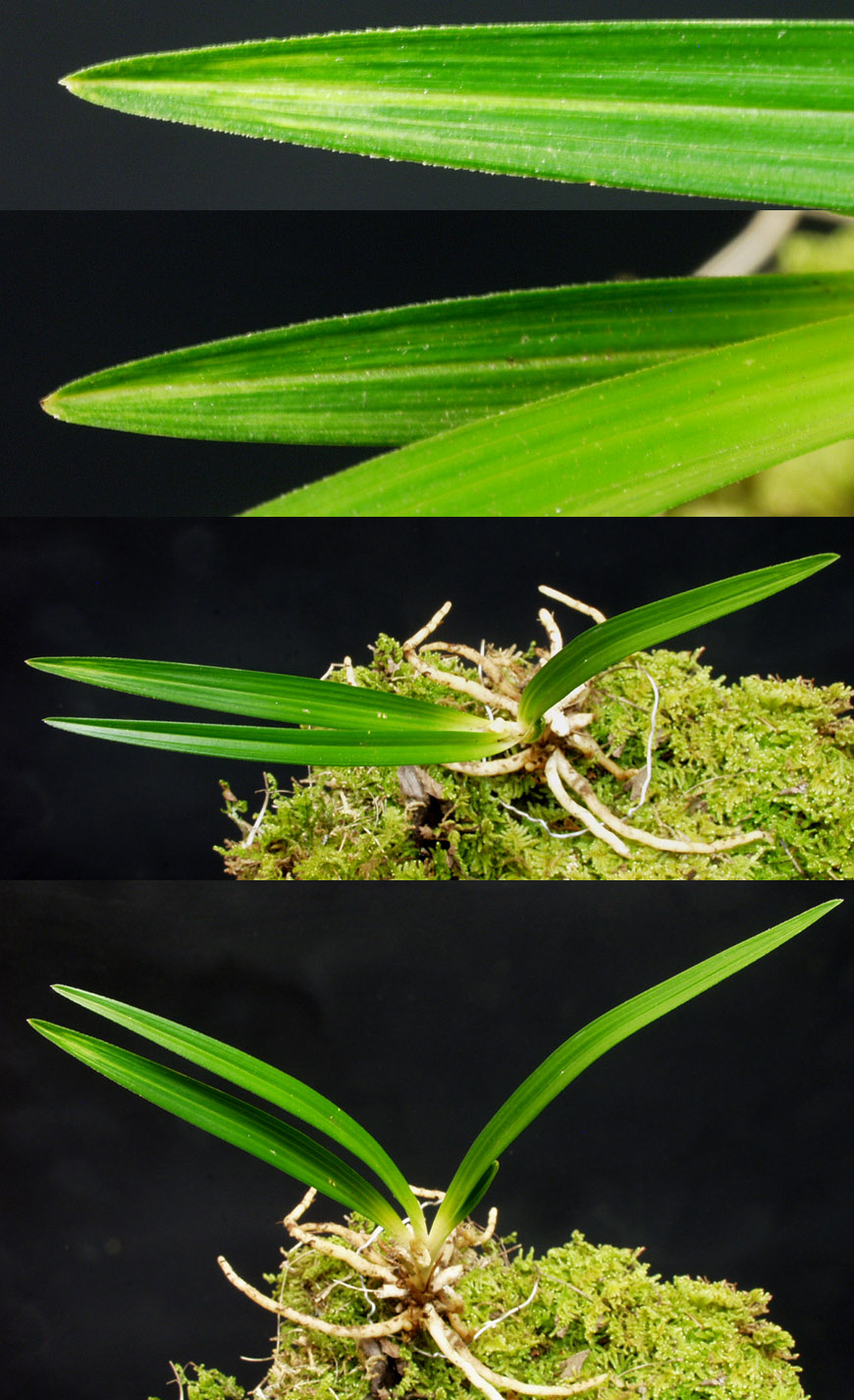 ������ ū������ �� �� �ֽ��ϴ�.