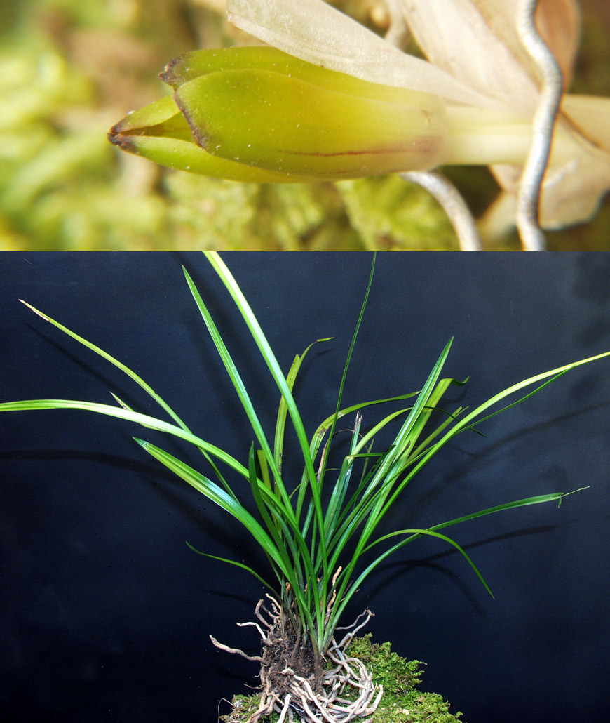 ������ ū������ �� �� �ֽ��ϴ�.