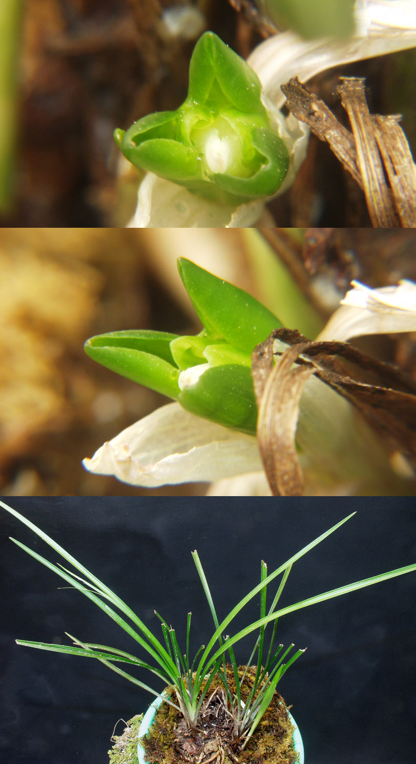 ������ ū������ �� �� �ֽ��ϴ�.