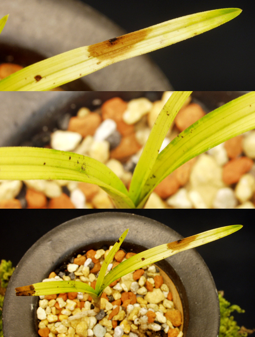 ������ ū������ �� �� �ֽ��ϴ�.