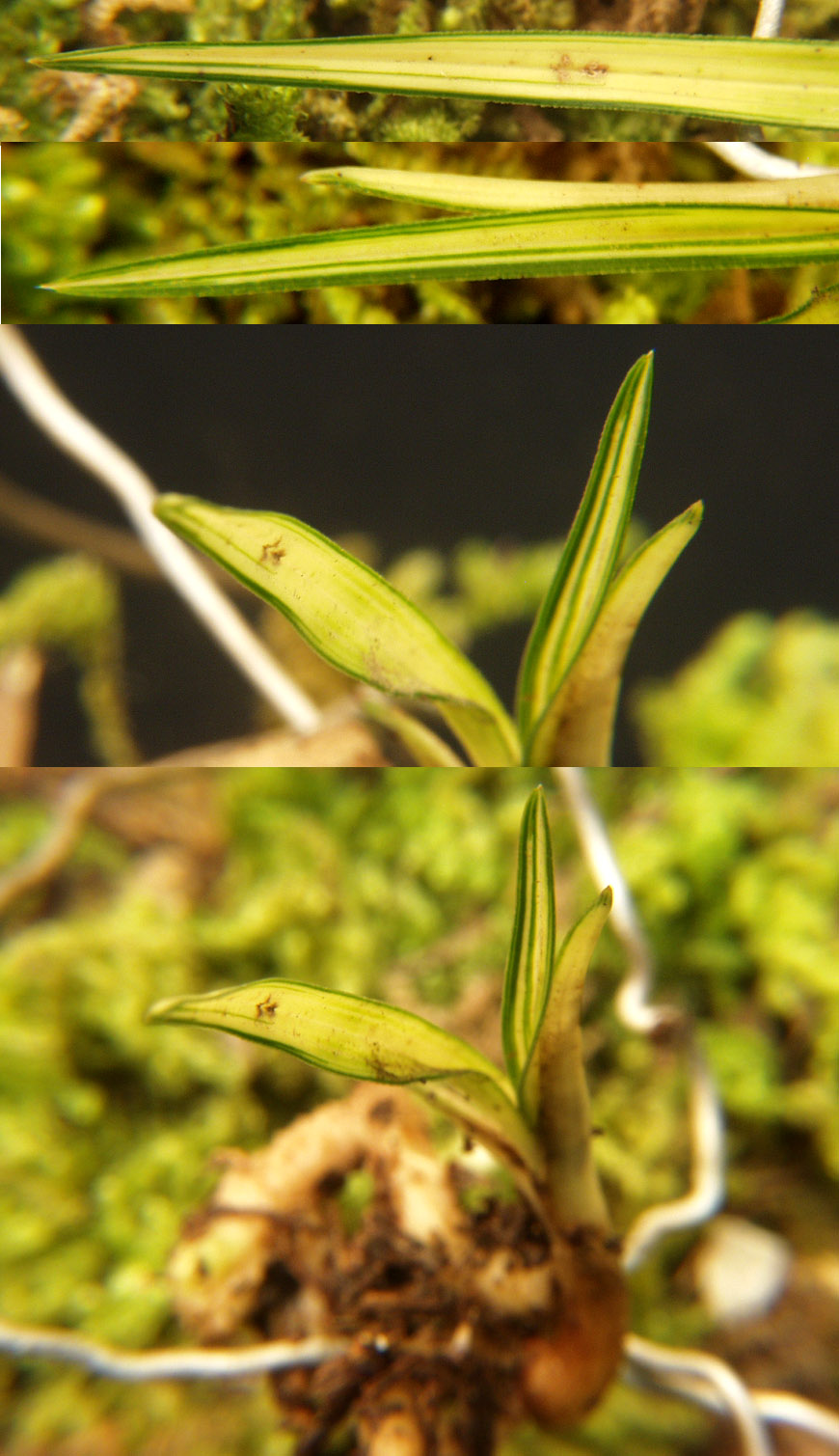 ������ ū������ �� �� �ֽ��ϴ�.