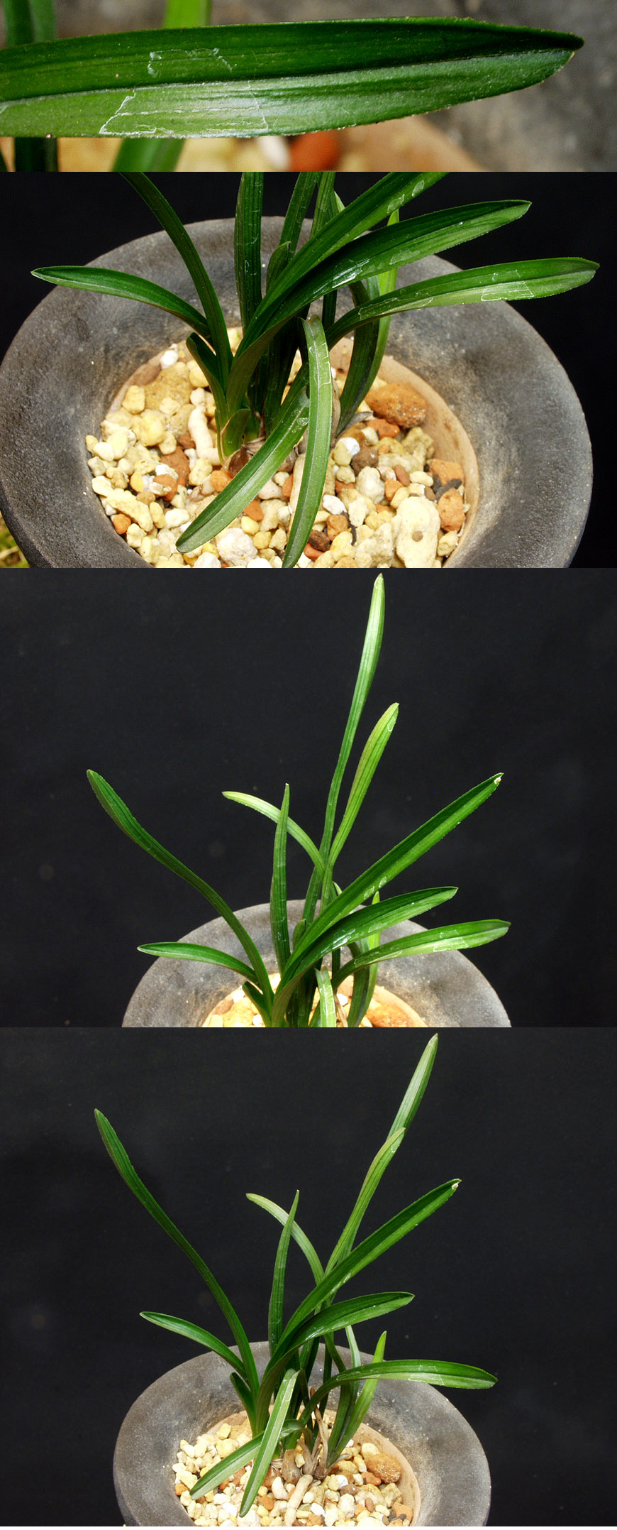 ������ ū������ �� �� �ֽ��ϴ�.