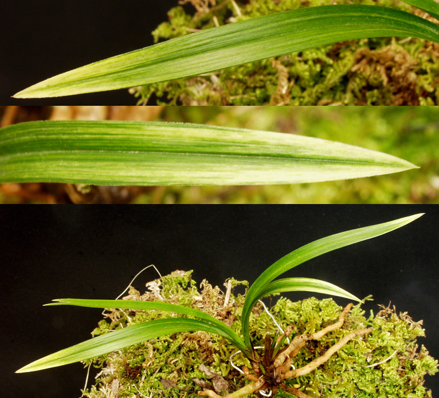 ������ ū������ �� �� �ֽ��ϴ�.