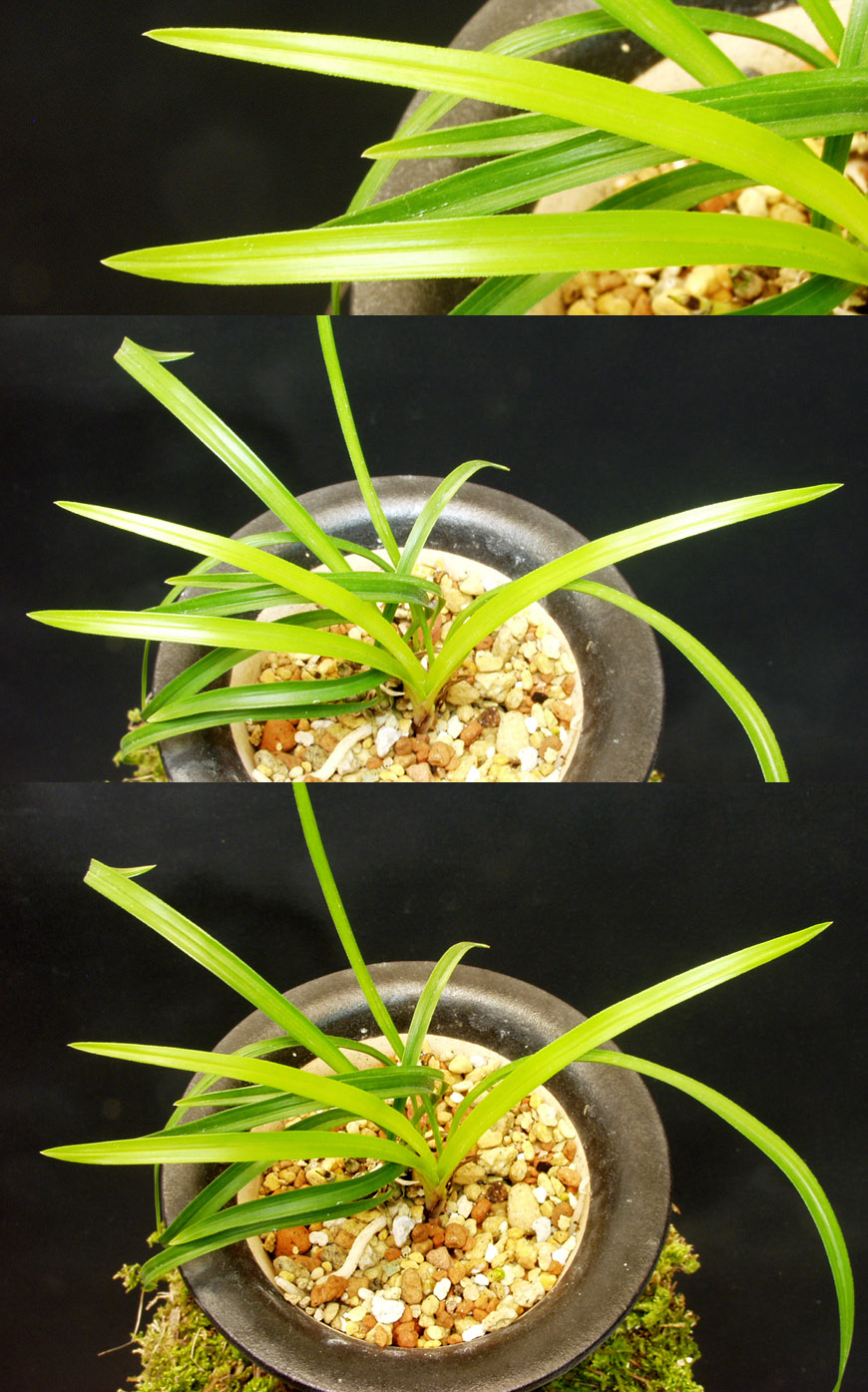 ������ ū������ �� �� �ֽ��ϴ�.