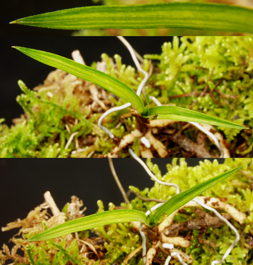 ������ ū������ �� �� �ֽ��ϴ�.