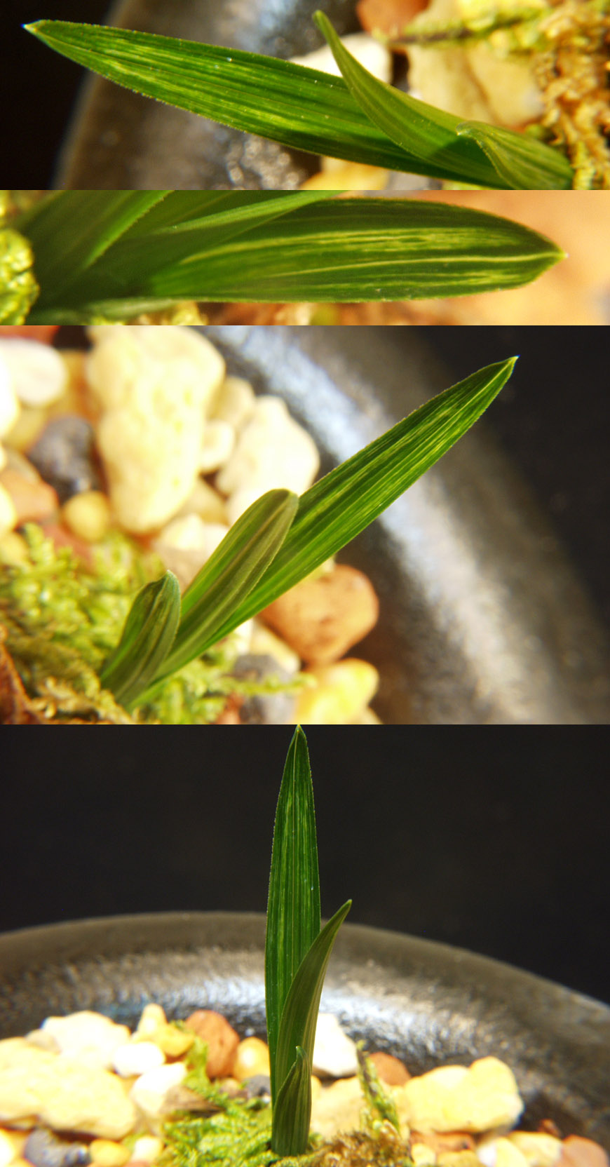 ������ ū������ �� �� �ֽ��ϴ�.