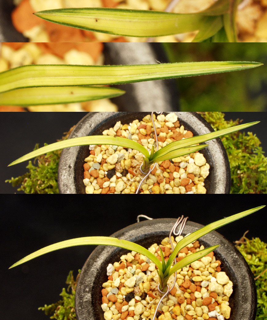 ������ ū������ �� �� �ֽ��ϴ�.