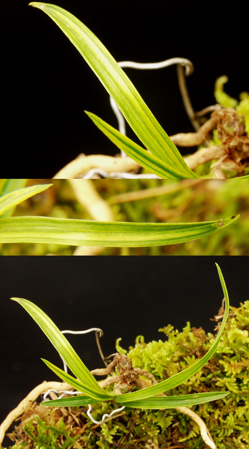 ������ ū������ �� �� �ֽ��ϴ�.