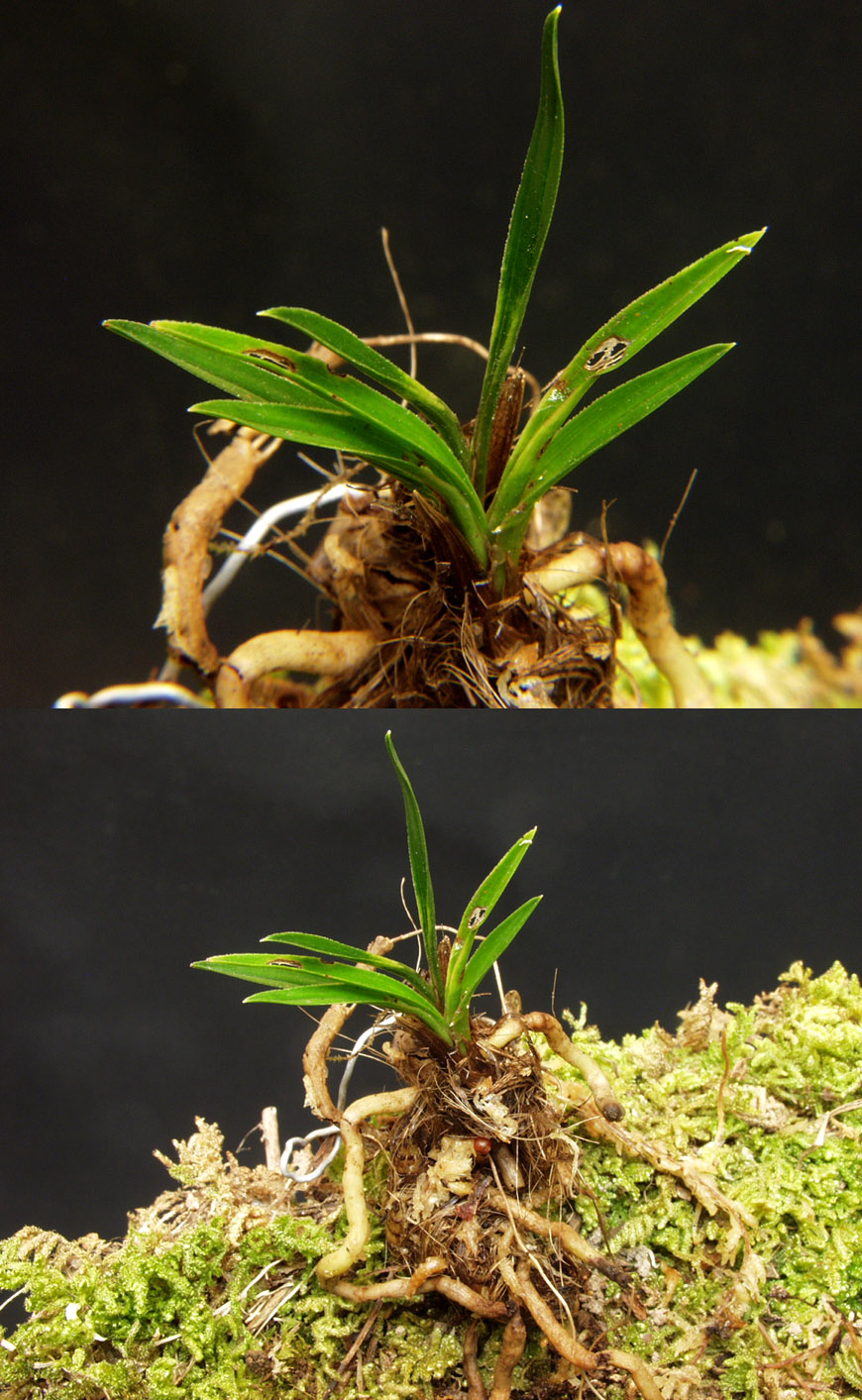 ������ ū������ �� �� �ֽ��ϴ�.