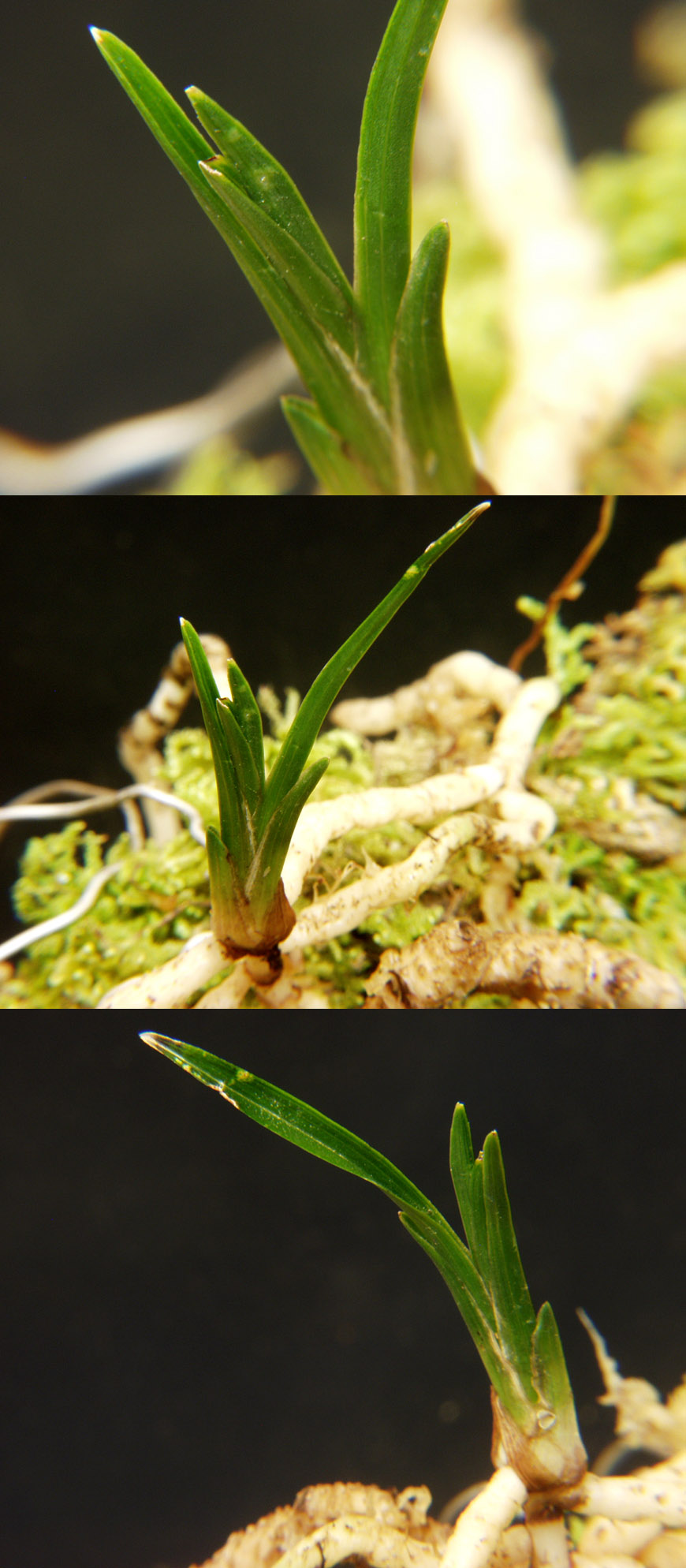 ������ ū������ �� �� �ֽ��ϴ�.