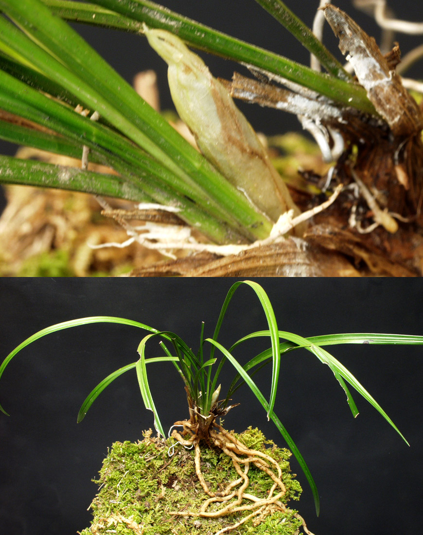 ������ ū������ �� �� �ֽ��ϴ�.