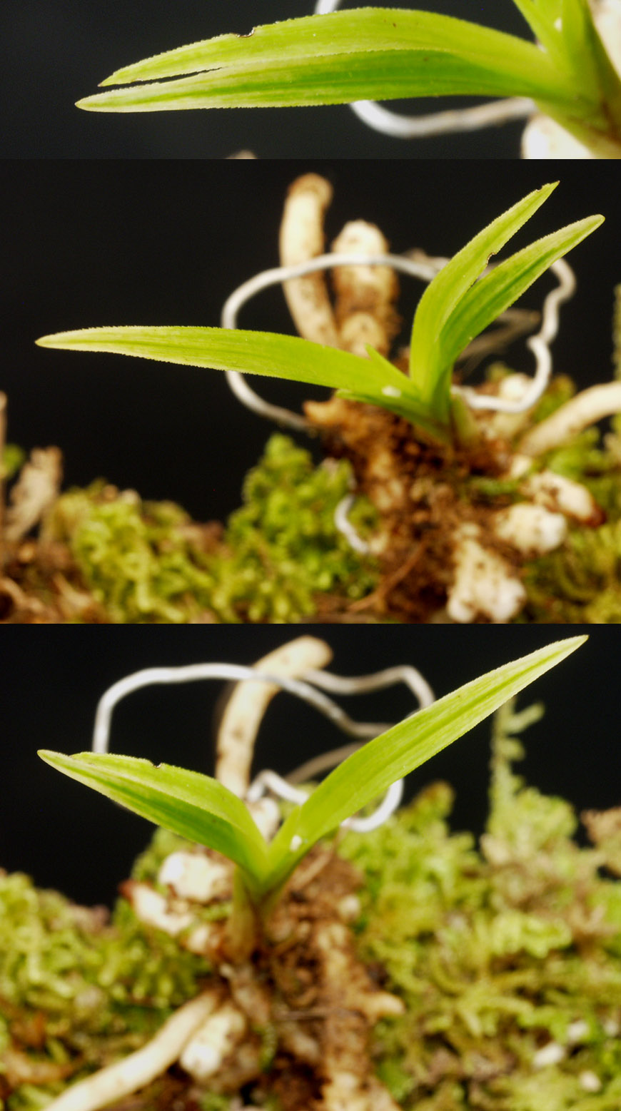 ������ ū������ �� �� �ֽ��ϴ�.