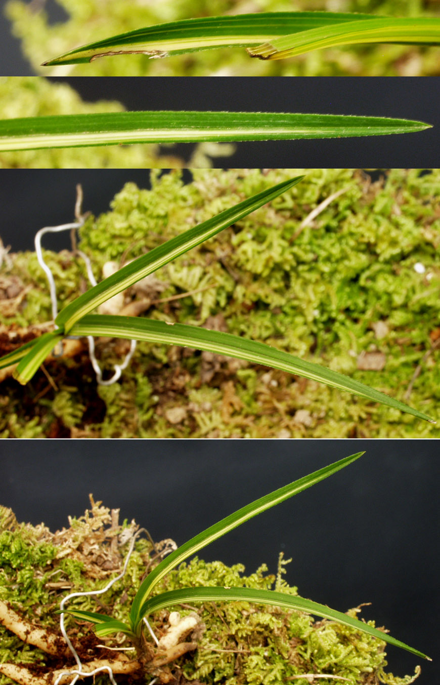 ������ ū������ �� �� �ֽ��ϴ�.