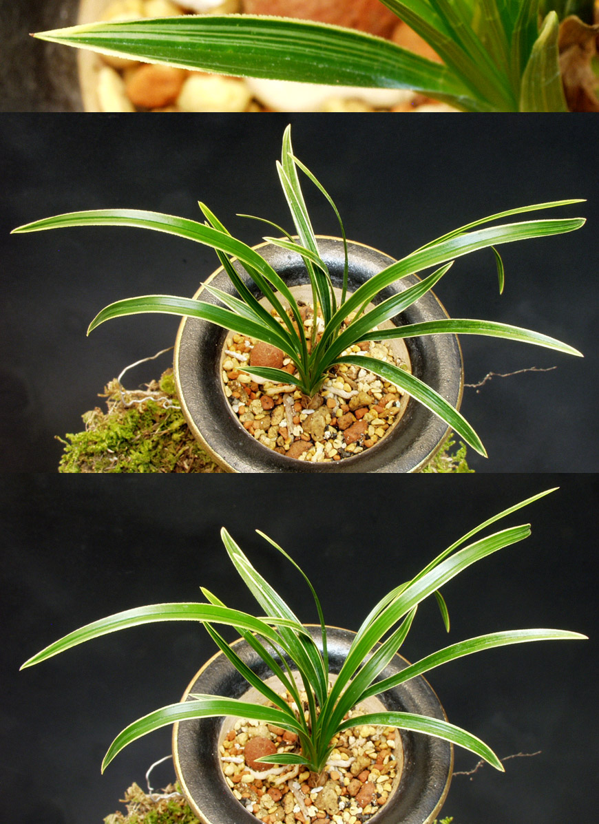 ������ ū������ �� �� �ֽ��ϴ�.