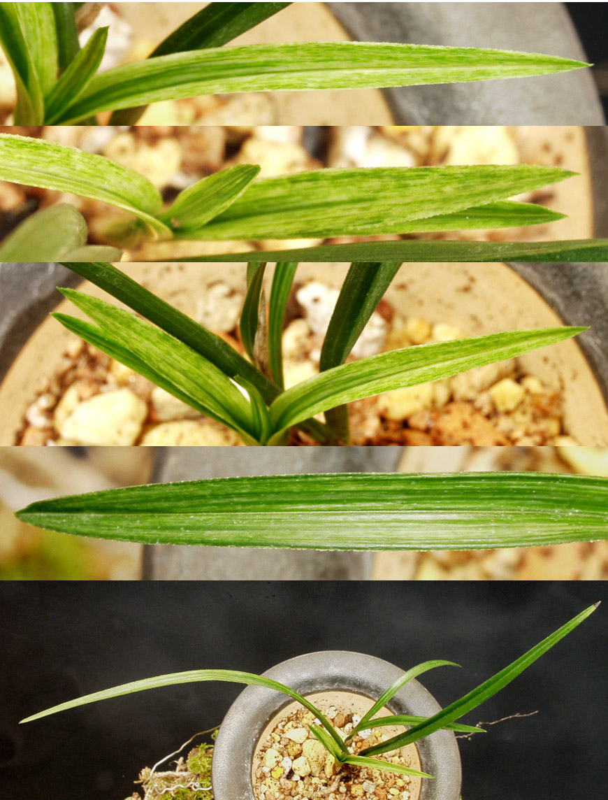 ������ ū������ �� �� �ֽ��ϴ�.