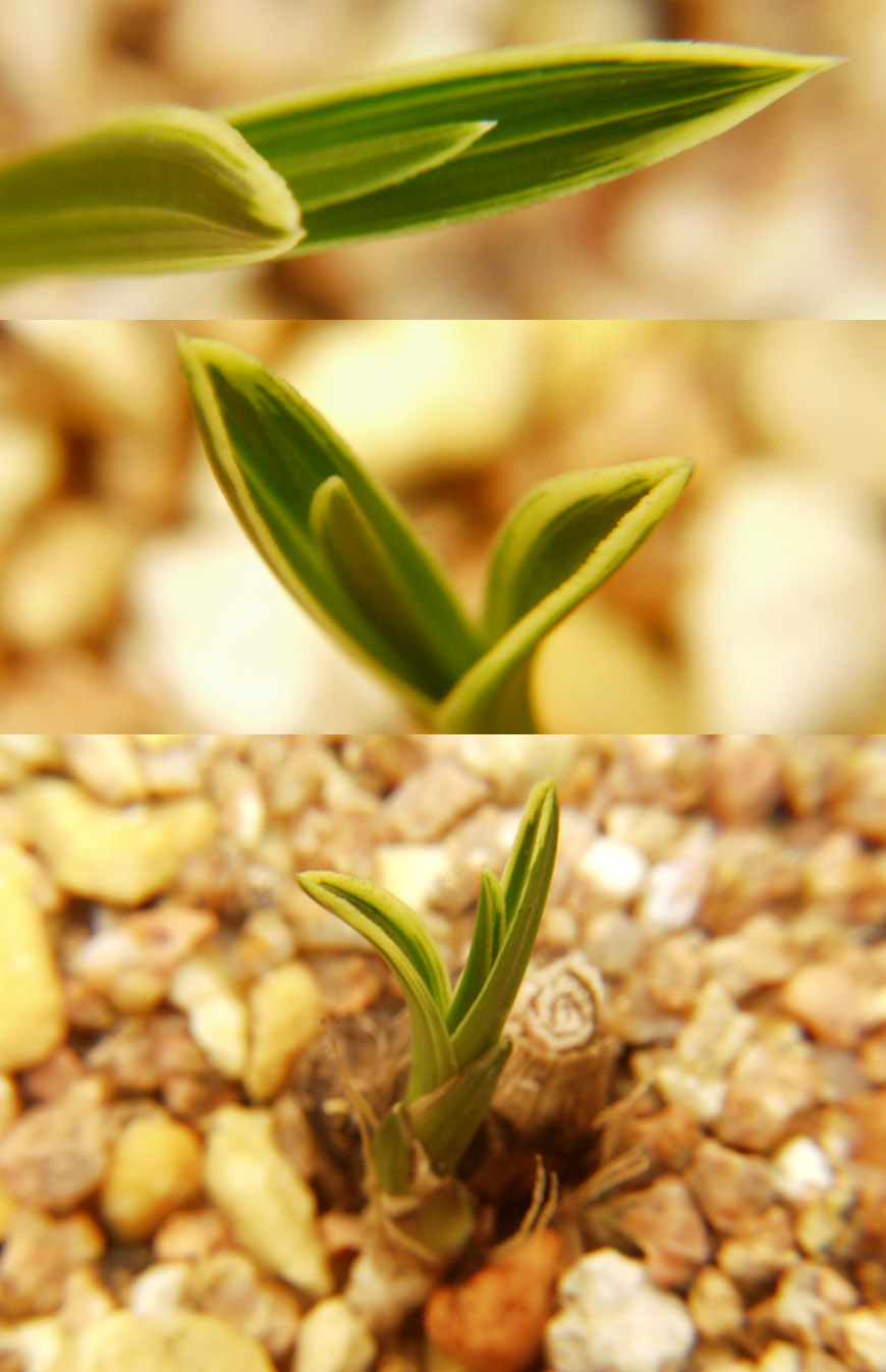 ������ ū������ �� �� �ֽ��ϴ�.