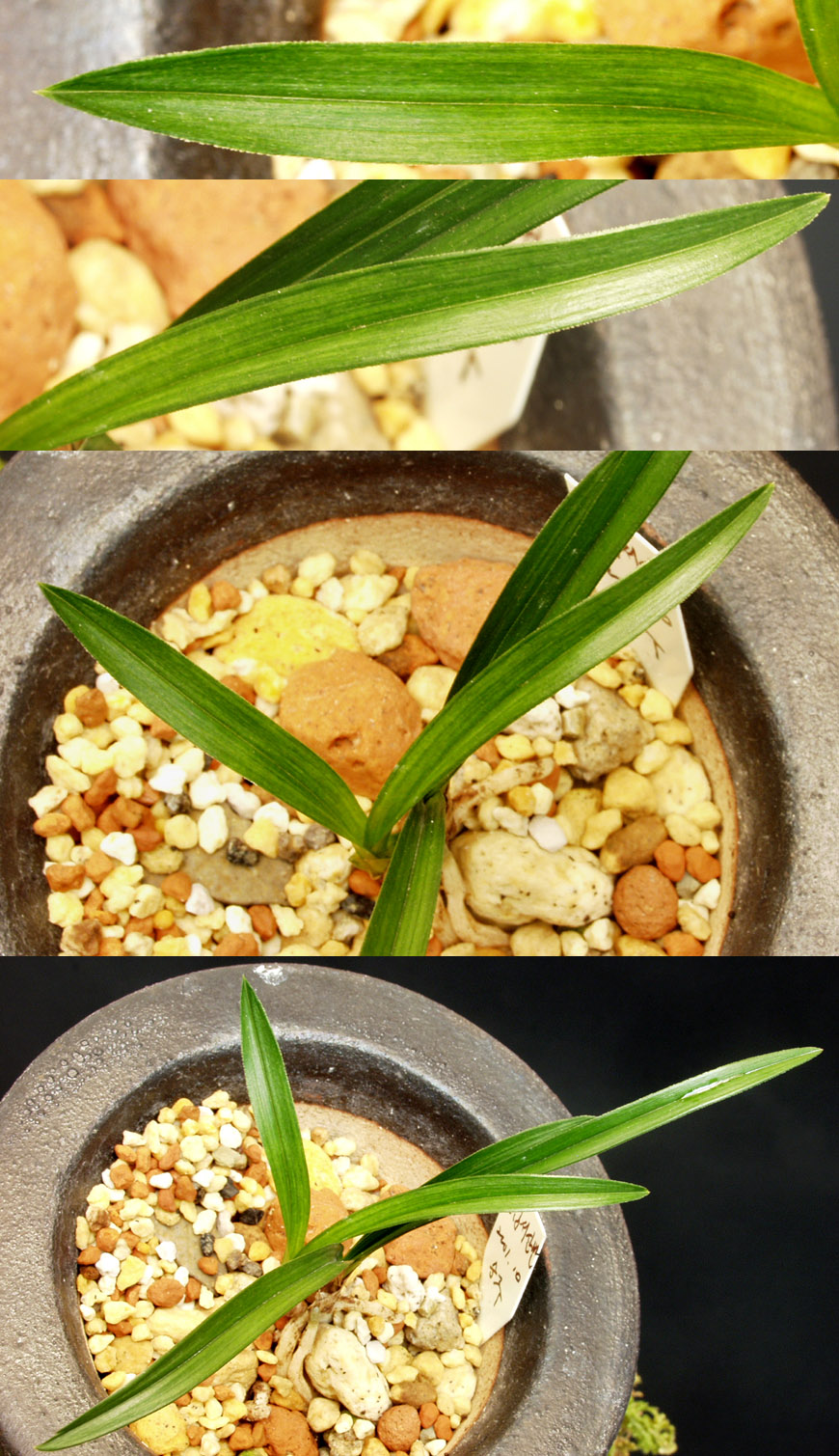 ������ ū������ �� �� �ֽ��ϴ�.