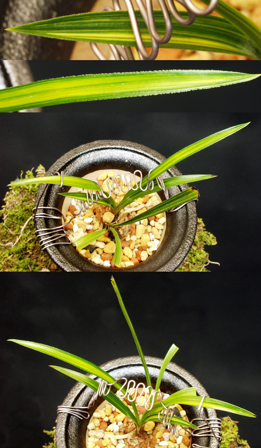 ������ ū������ �� �� �ֽ��ϴ�.