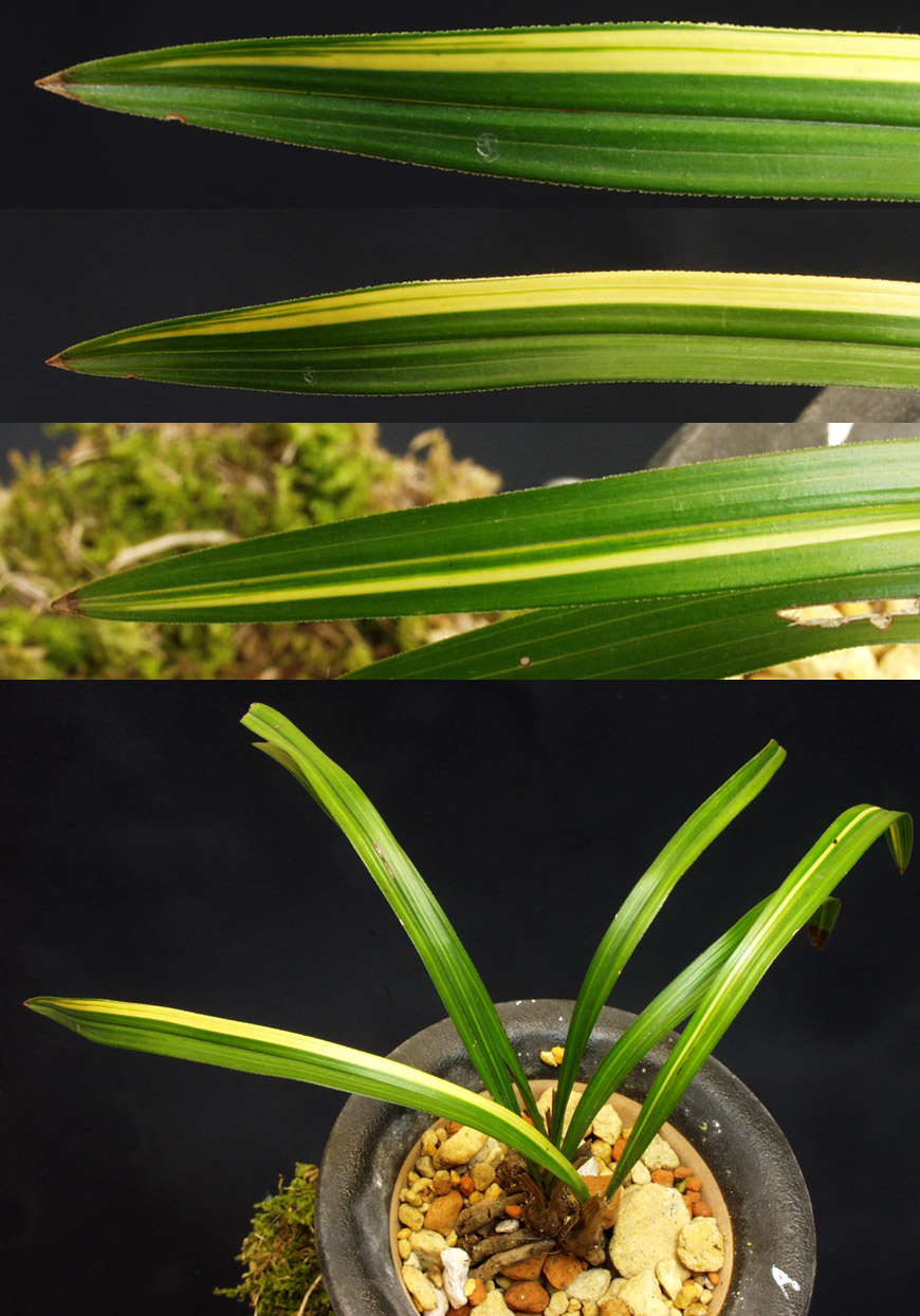 ������ ū������ �� �� �ֽ��ϴ�.