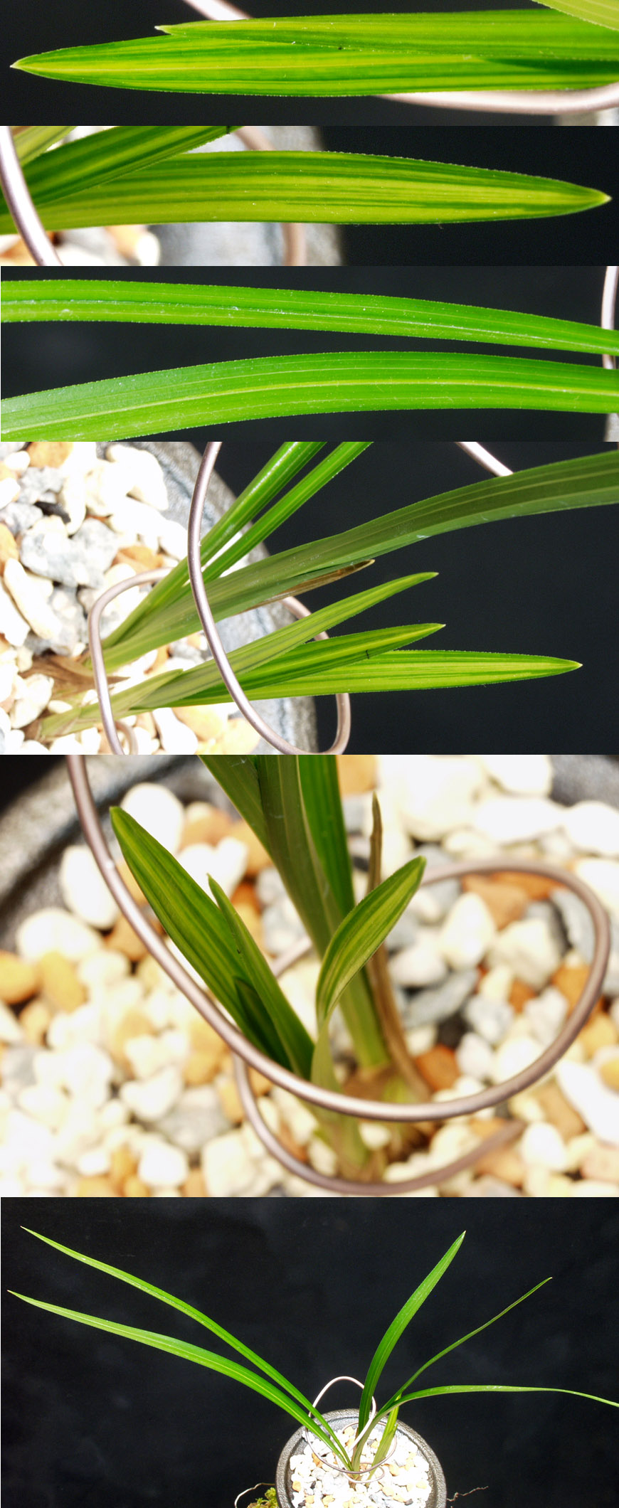 ������ ū������ �� �� �ֽ��ϴ�.