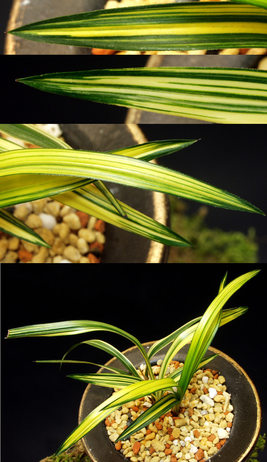 ������ ū������ �� �� �ֽ��ϴ�.