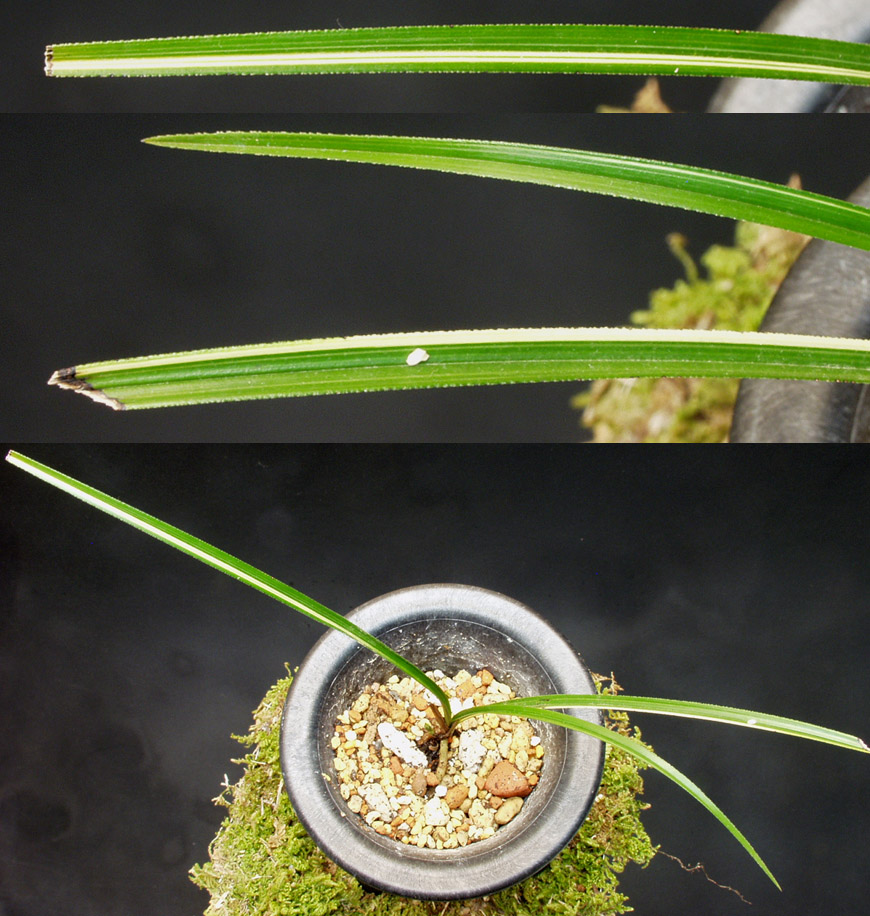 ������ ū������ �� �� �ֽ��ϴ�.