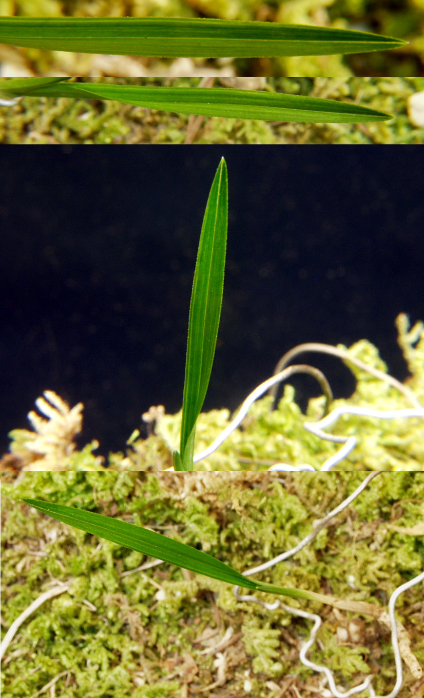 ������ ū������ �� �� �ֽ��ϴ�.