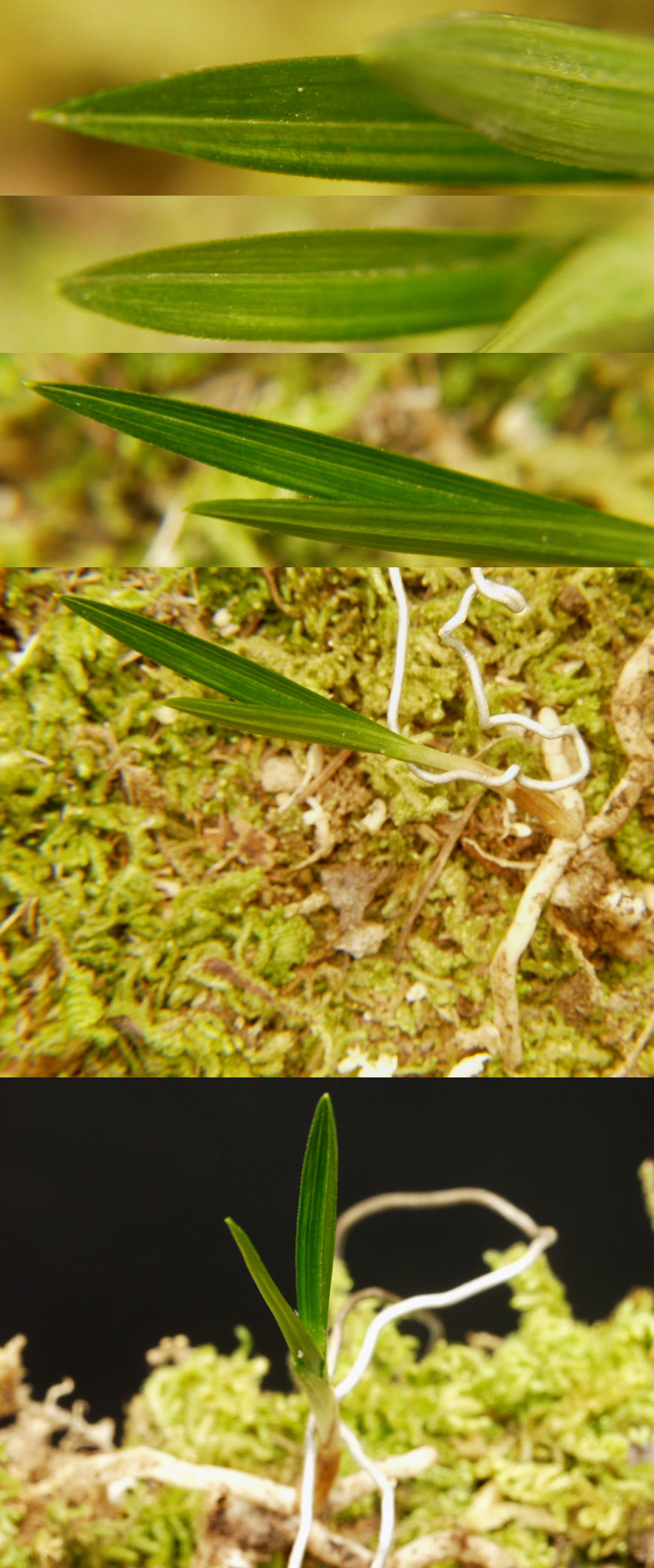 ������ ū������ �� �� �ֽ��ϴ�.