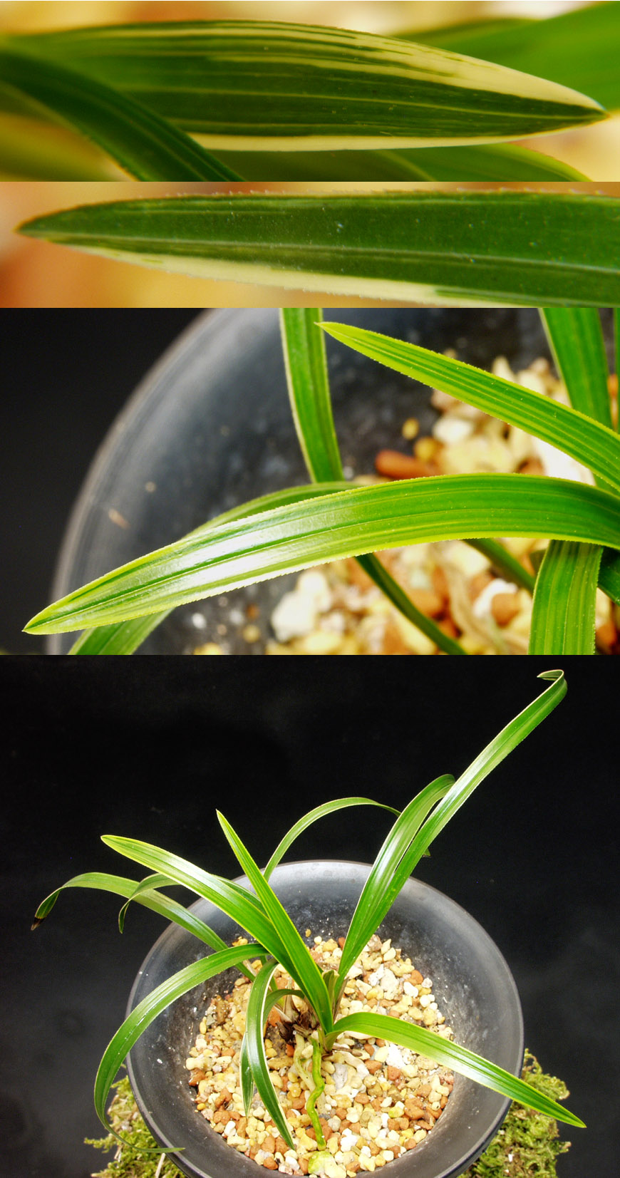 ������ ū������ �� �� �ֽ��ϴ�.