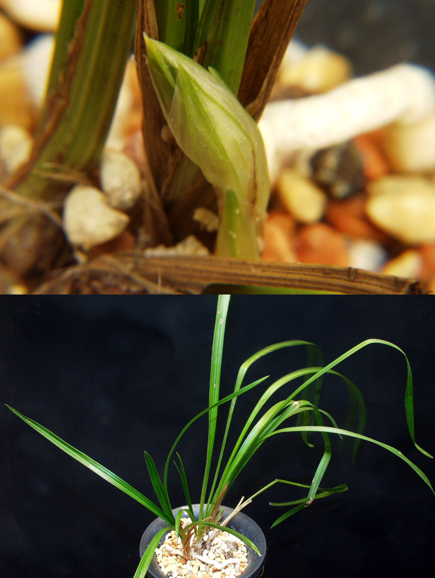 ������ ū������ �� �� �ֽ��ϴ�.