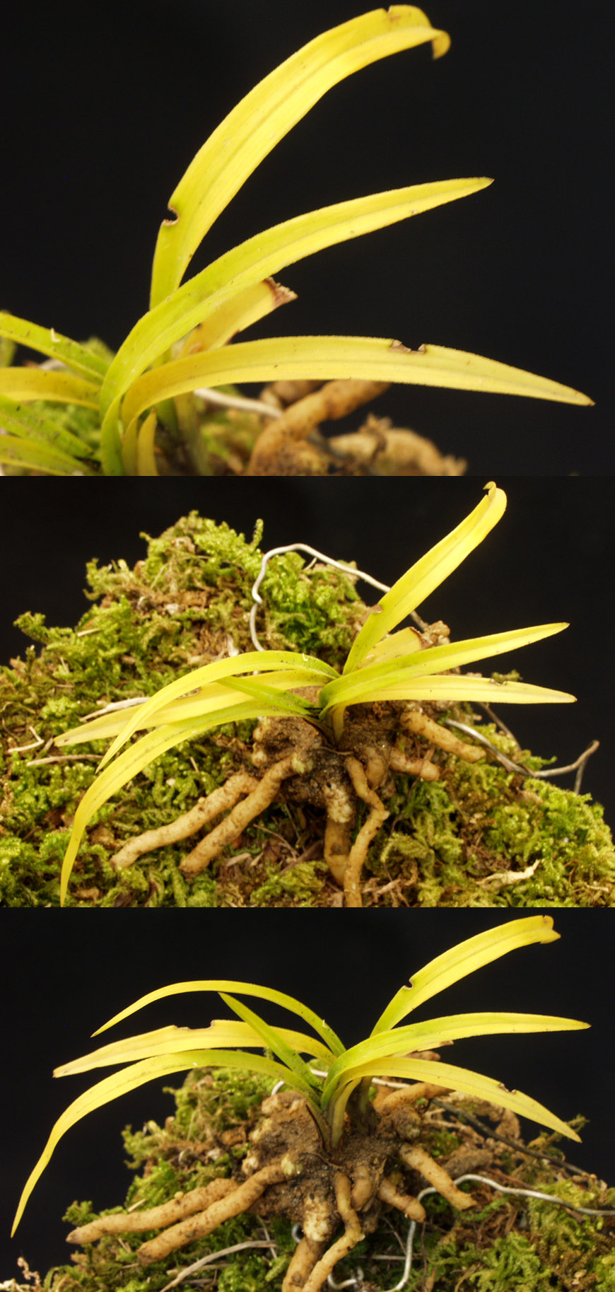 ������ ū������ �� �� �ֽ��ϴ�.