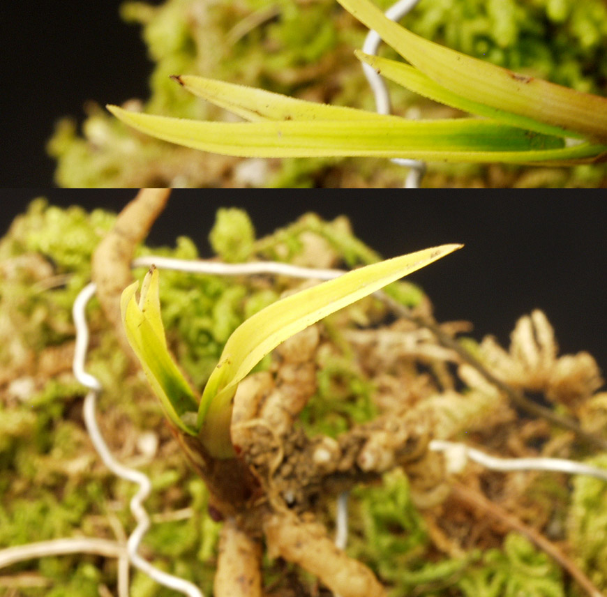 ������ ū������ �� �� �ֽ��ϴ�.