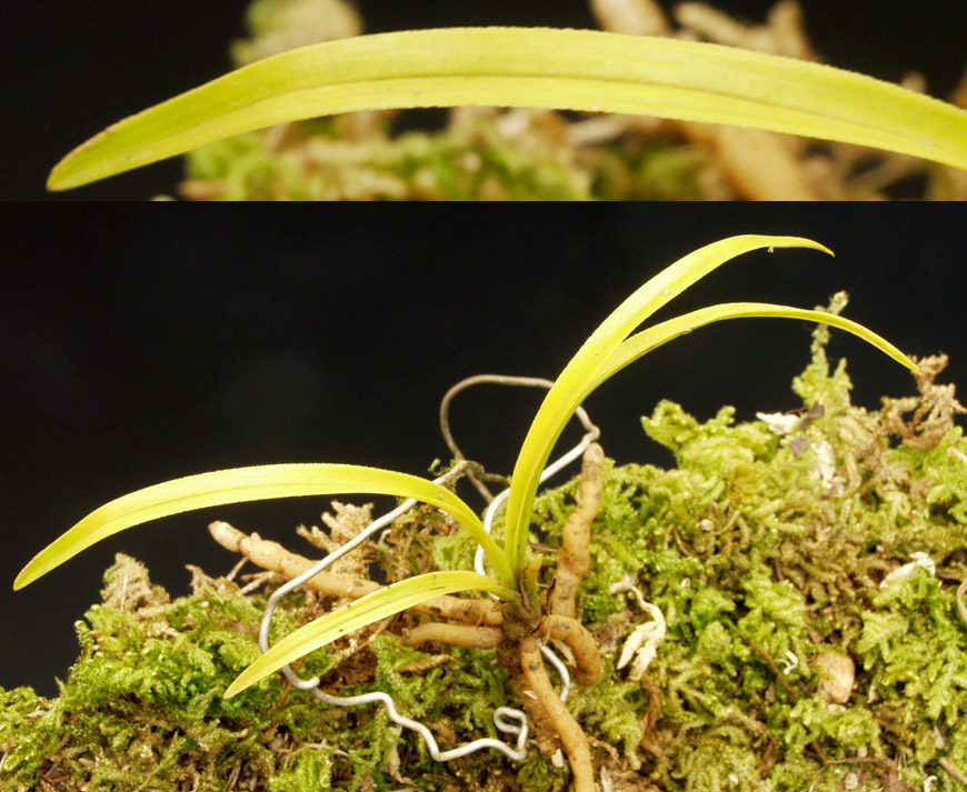 ������ ū������ �� �� �ֽ��ϴ�.