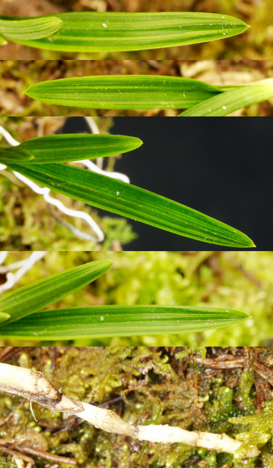 ������ ū������ �� �� �ֽ��ϴ�.