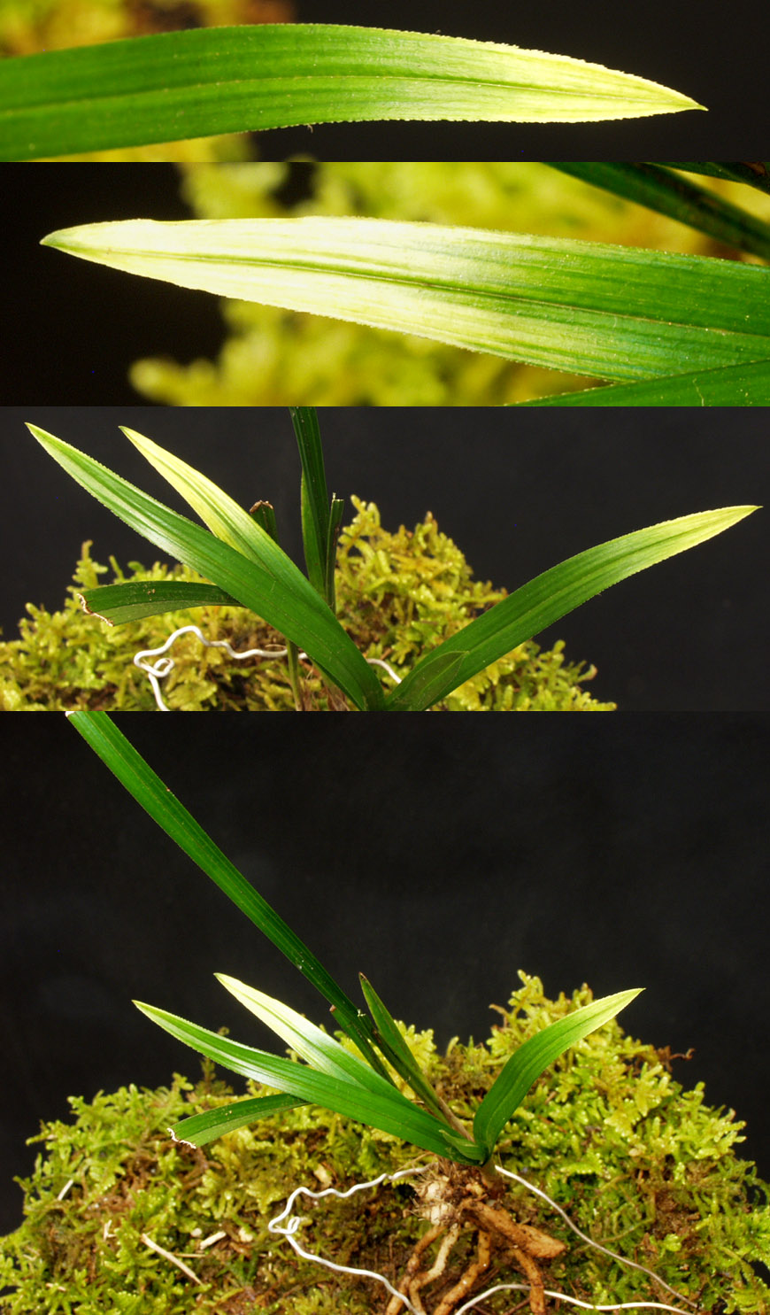 ������ ū������ �� �� �ֽ��ϴ�.