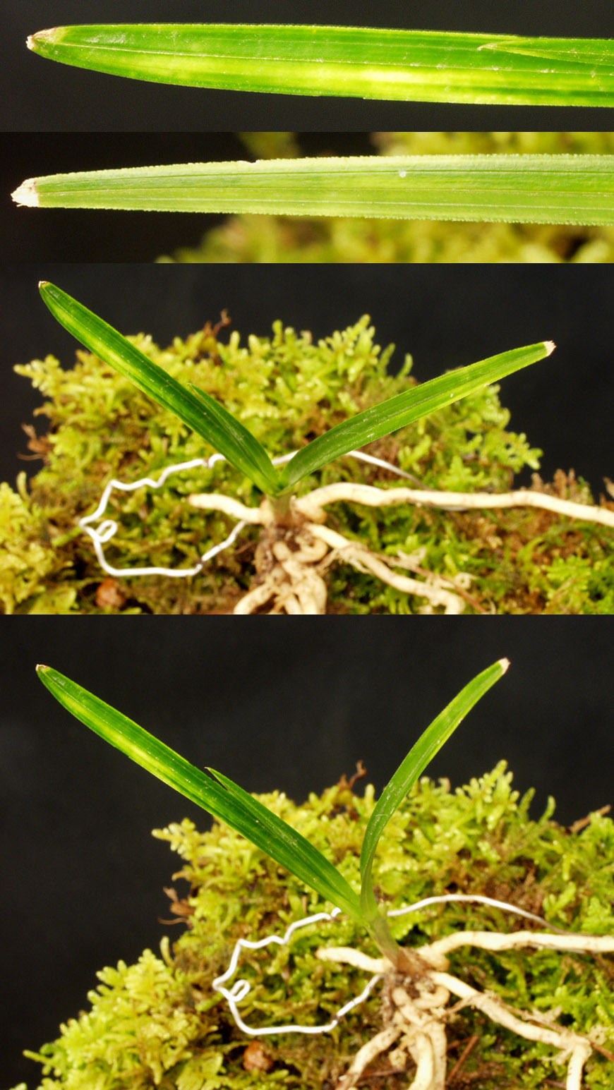 ������ ū������ �� �� �ֽ��ϴ�.