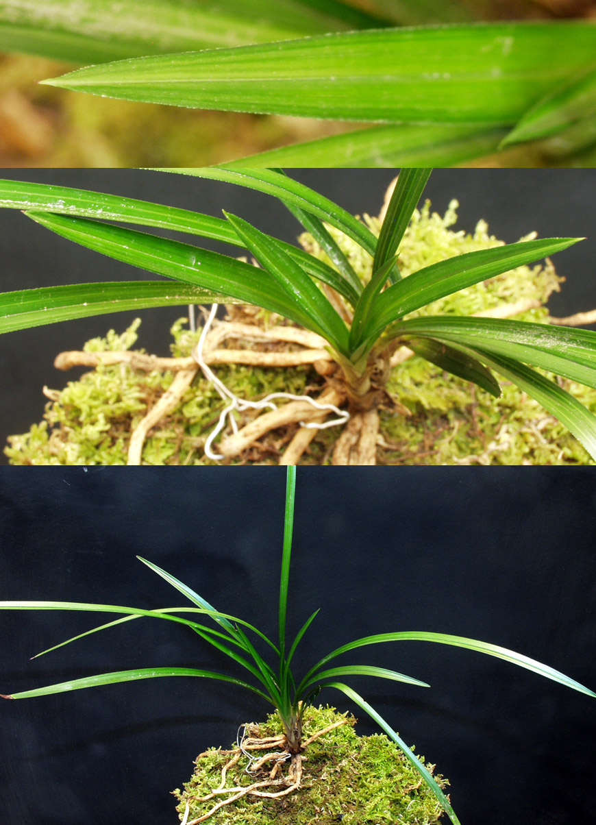 ������ ū������ �� �� �ֽ��ϴ�.