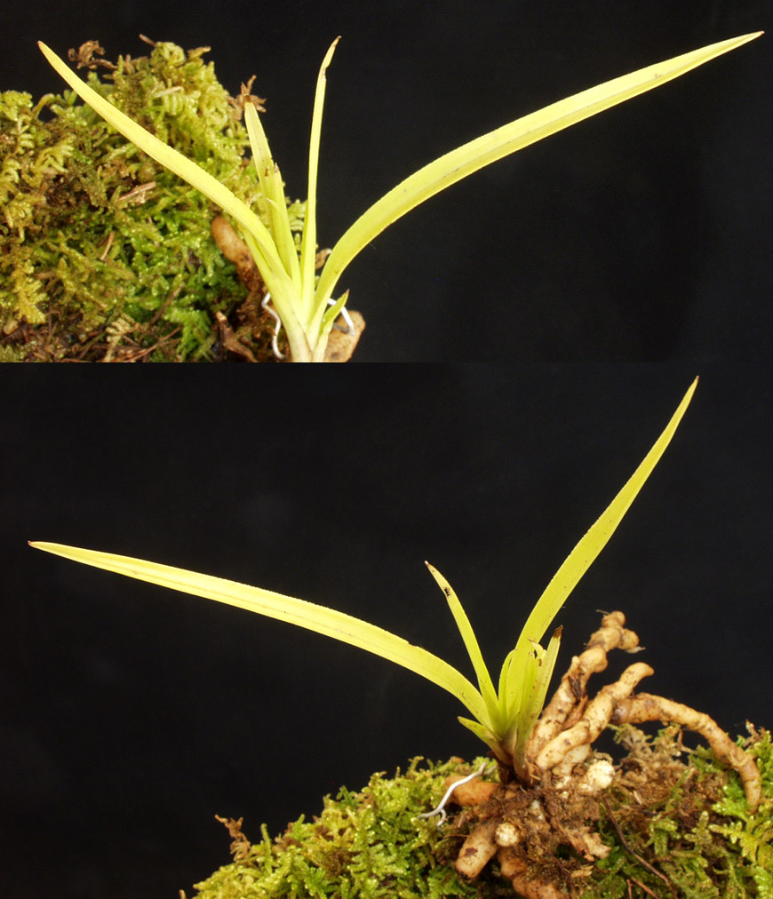 ������ ū������ �� �� �ֽ��ϴ�.