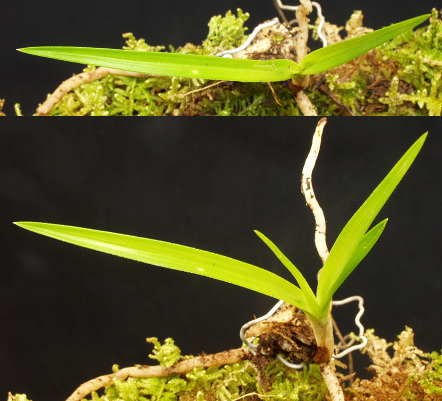 ������ ū������ �� �� �ֽ��ϴ�.