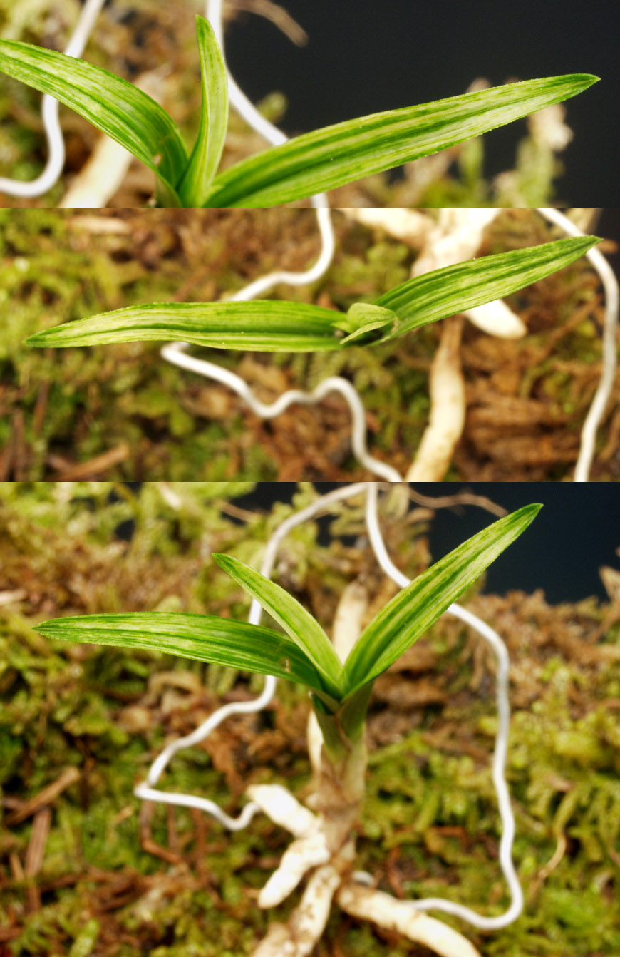 ������ ū������ �� �� �ֽ��ϴ�.