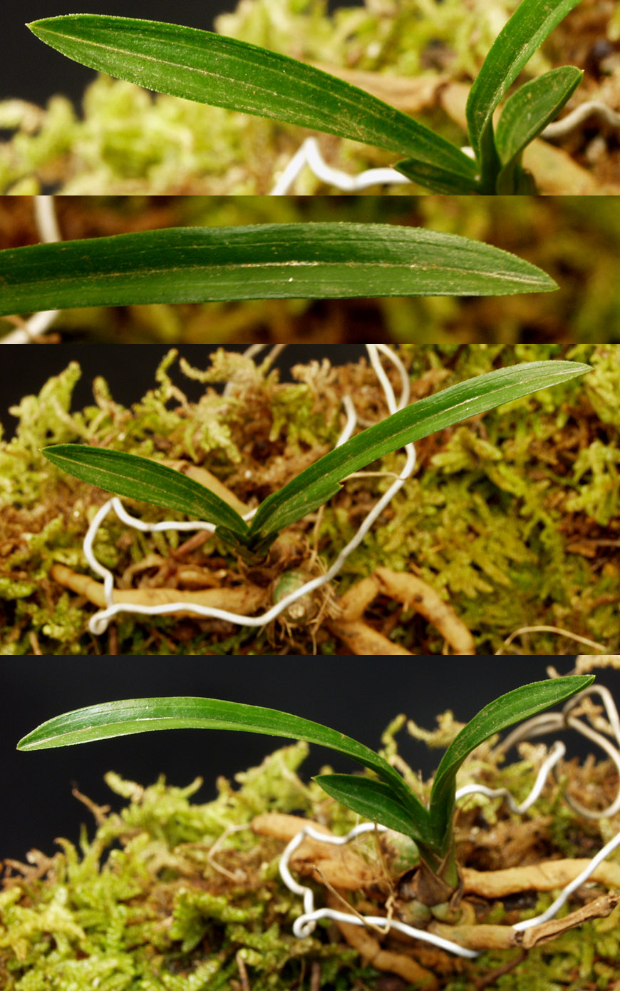 ������ ū������ �� �� �ֽ��ϴ�.