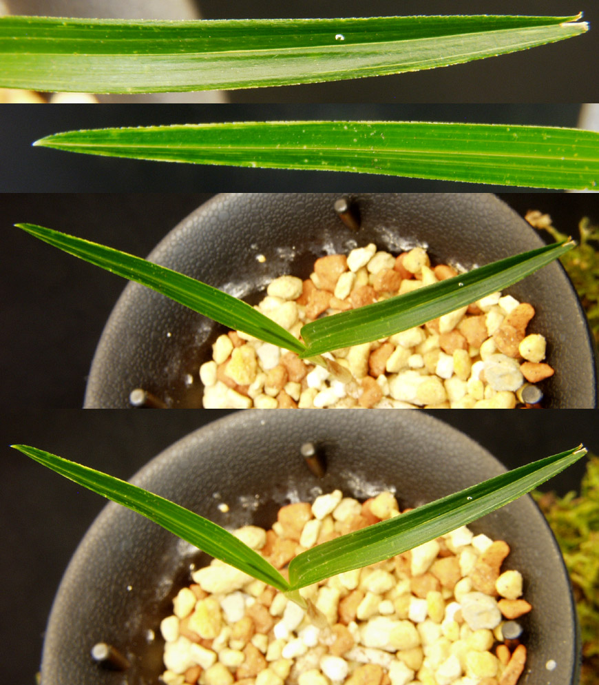 ������ ū������ �� �� �ֽ��ϴ�.