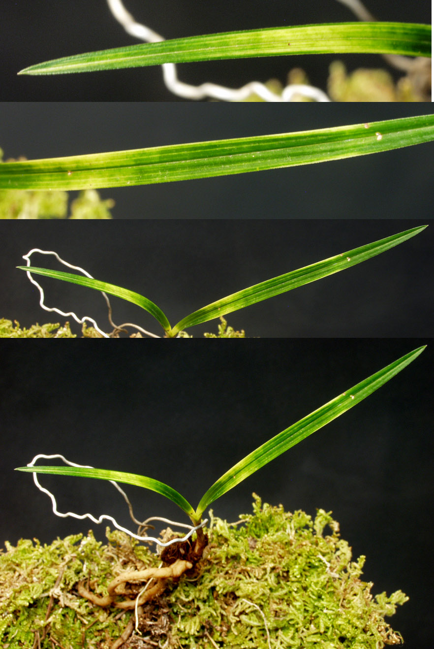 ������ ū������ �� �� �ֽ��ϴ�.